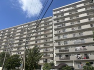 画像クリックで詳細ページに移行します