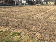 市街化区域内の農地を事業用の定期借地として開発のお手伝い